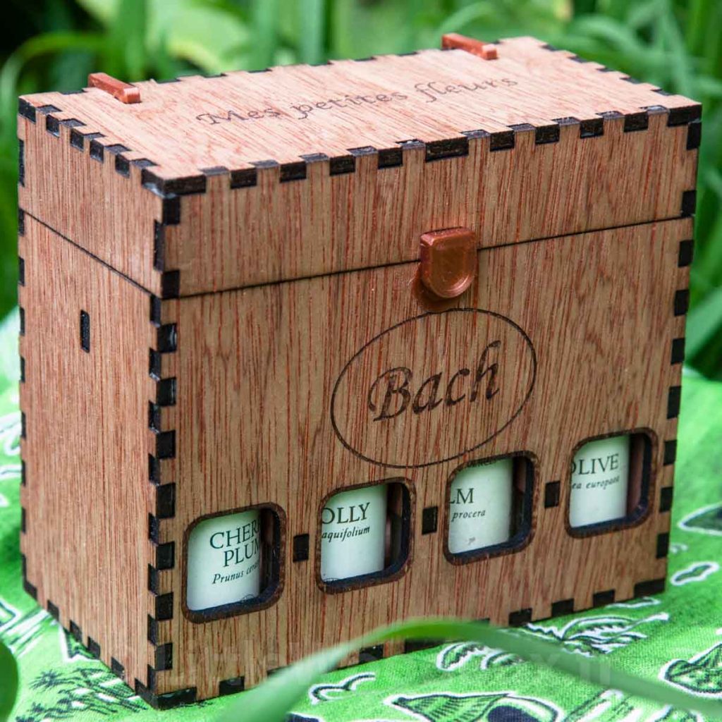 bachbox8